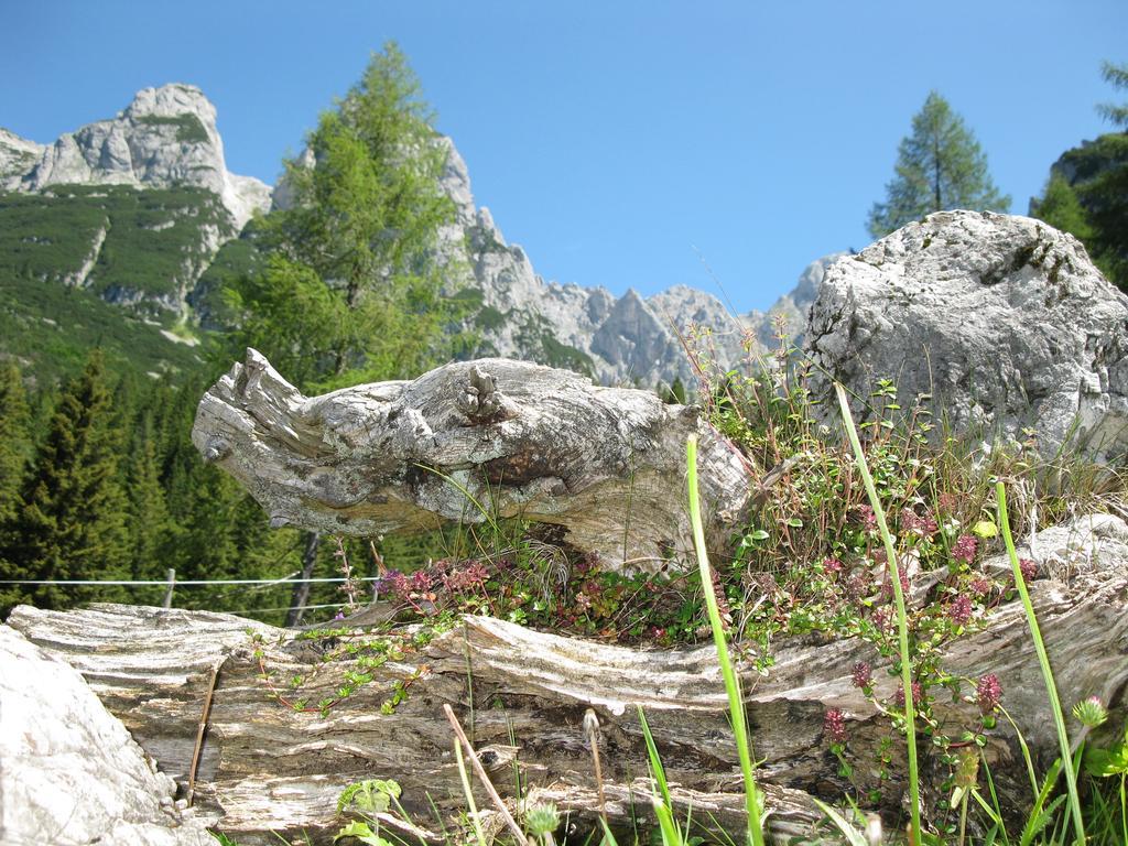 Hausmenneweger Apartment Annaberg im Lammertal Ruang foto