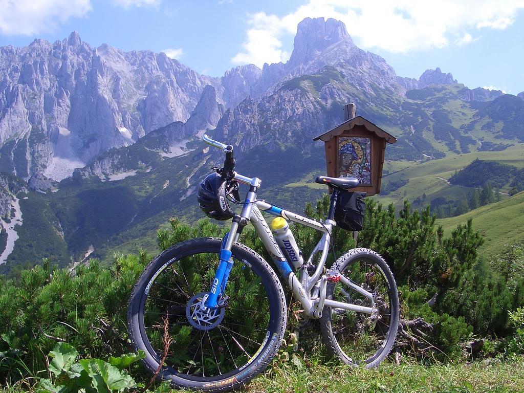 Hausmenneweger Apartment Annaberg im Lammertal Ruang foto